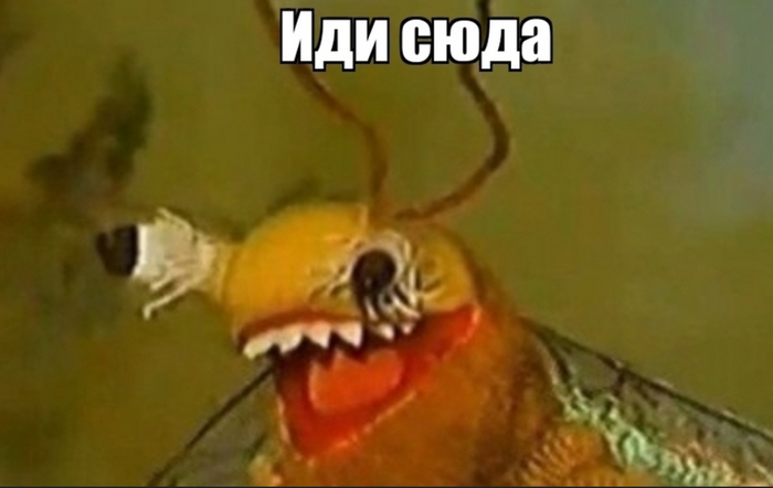 Полосатая натура