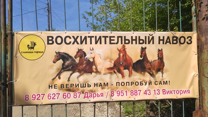 ���������� ���������