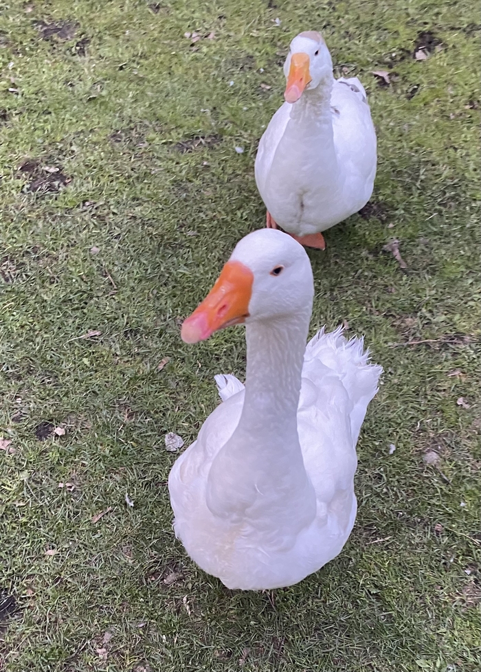  ,   , ,  
