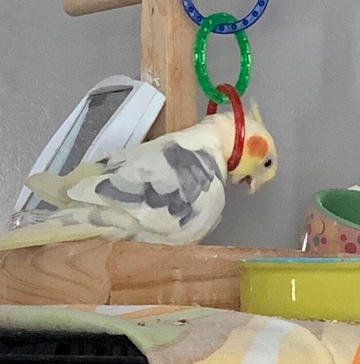 Настроение