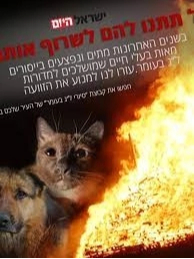 ��� ����������, ����� ��������������