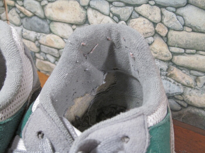  :   ,      Adidas! ,  , , 