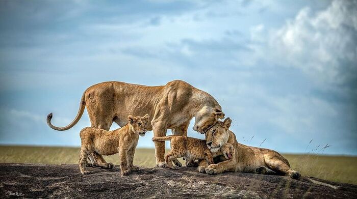 Прочные узы