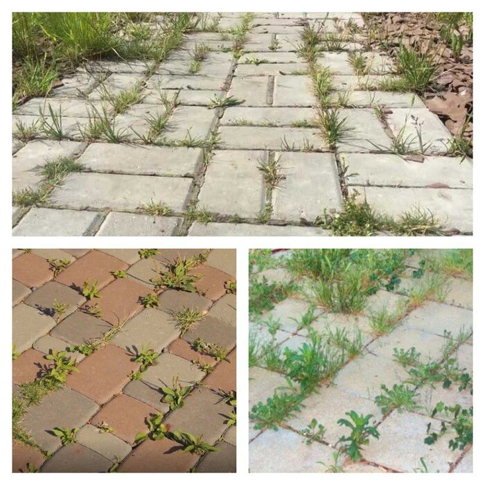Правила укладки тротуарной плитки на бетонное основание