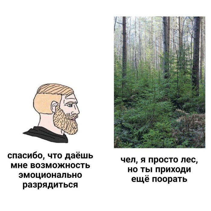 *Откуда ты это сказал? | Пикабу