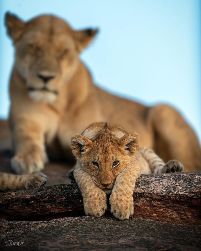 Мама спит, она устала