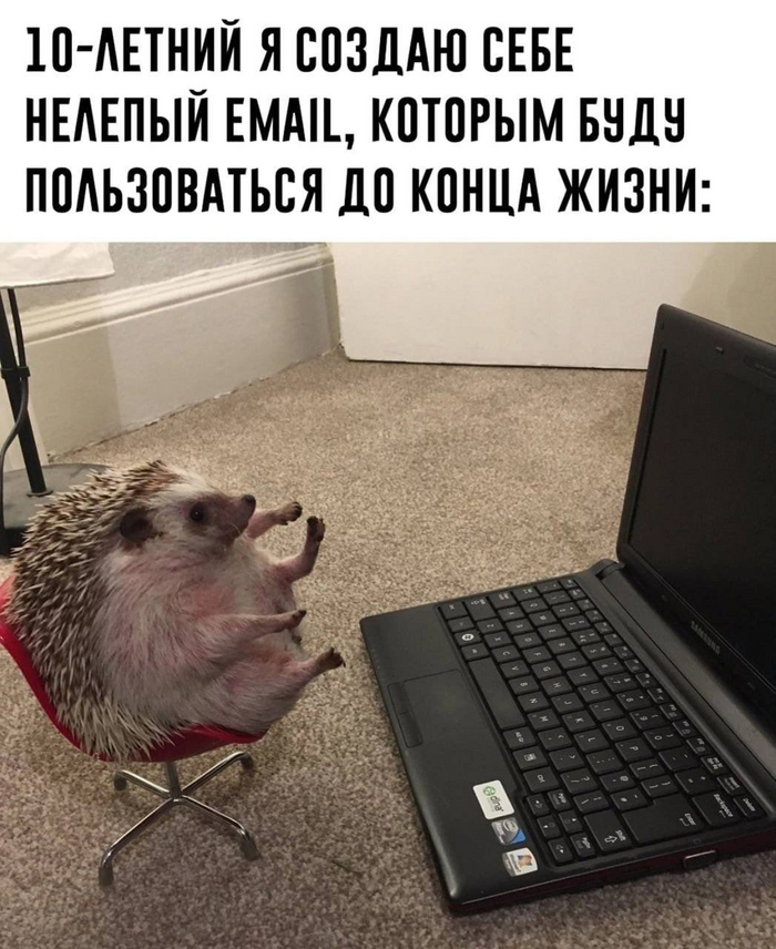  , ,   , , 