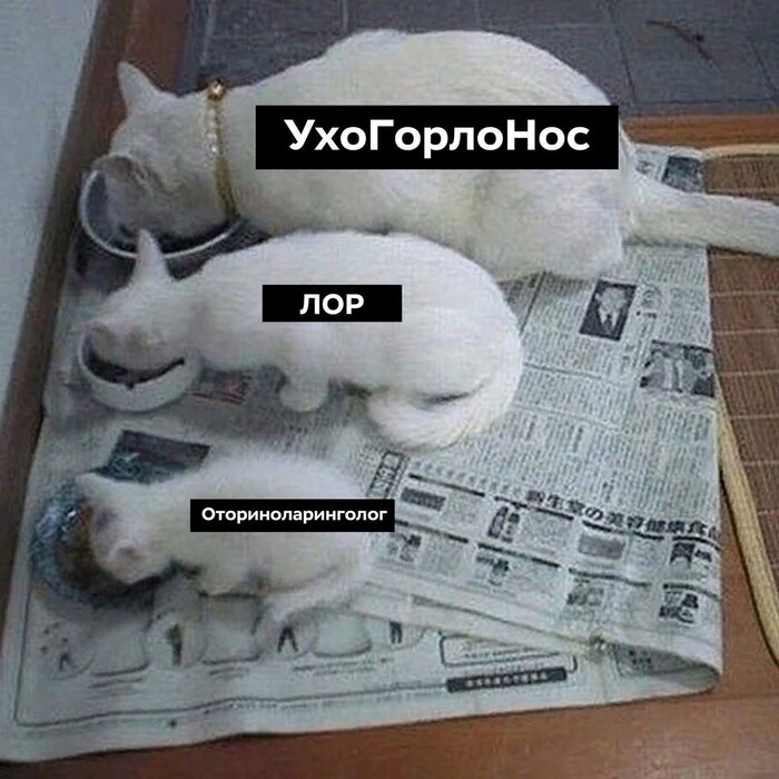 "Стадии развития" лор-врача