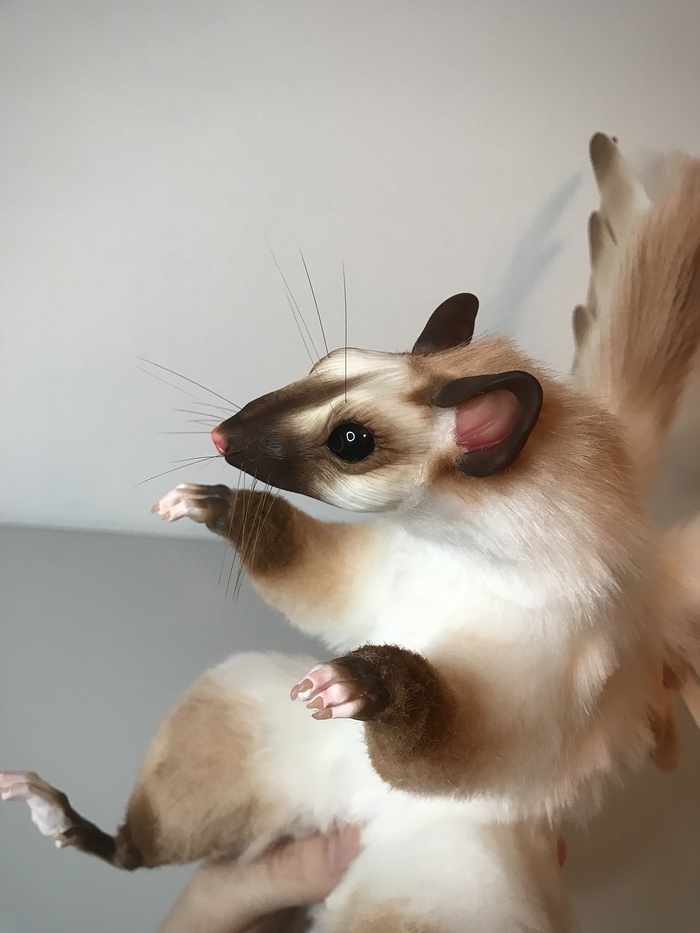    ,  ,  , , , 