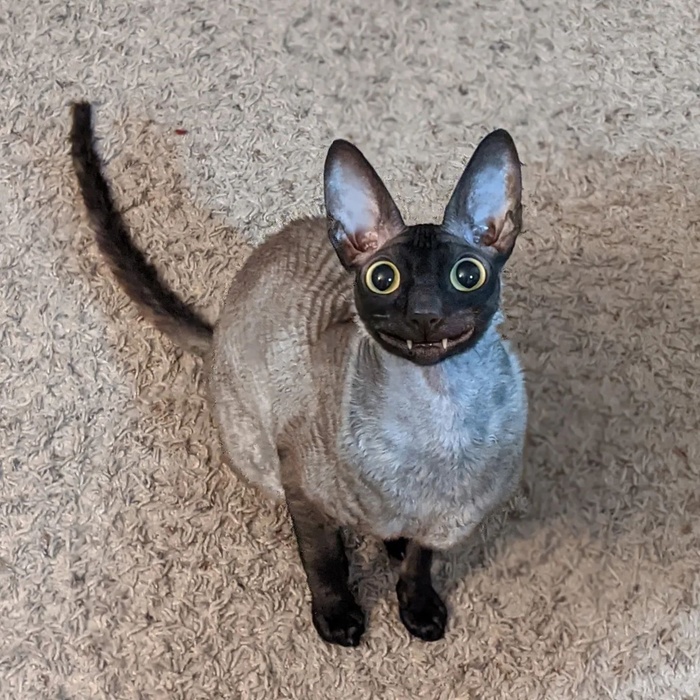    . ,    ,  , , , , 