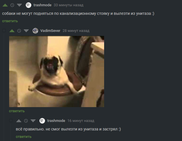 Собака не крыса, из унитаза не вылезет
