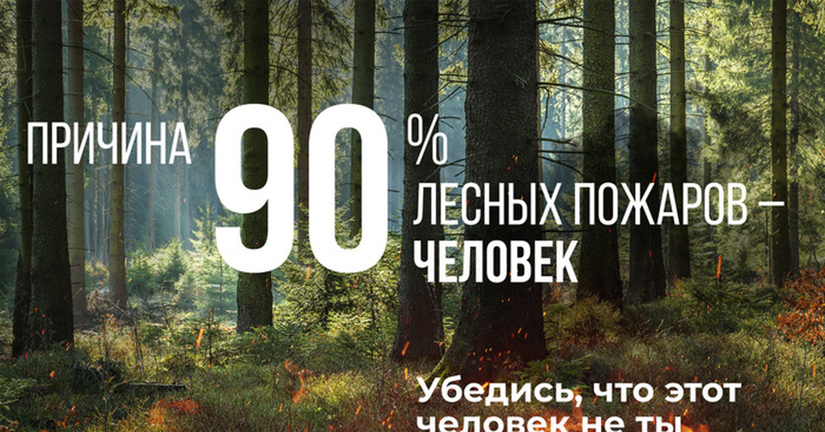 Лес число. Сохраним лес от пожара. Акция сохраним лес. Не допустить Лесной пожар.