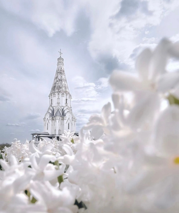 Цветущий май в парке Коломенское