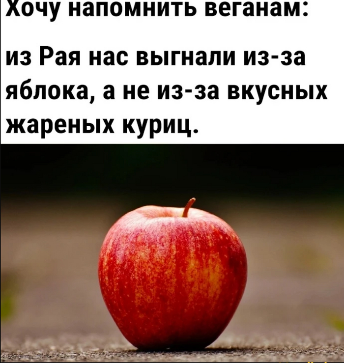 ... ,   , , 