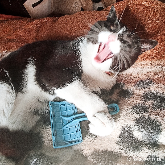 �� ���� ���� ��������, �������� �������� � �������