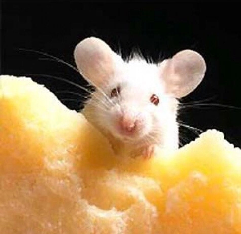 ���� ������� ����� ������ ����...