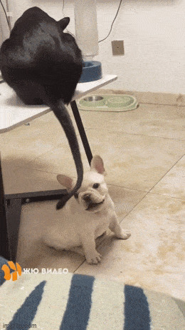  !