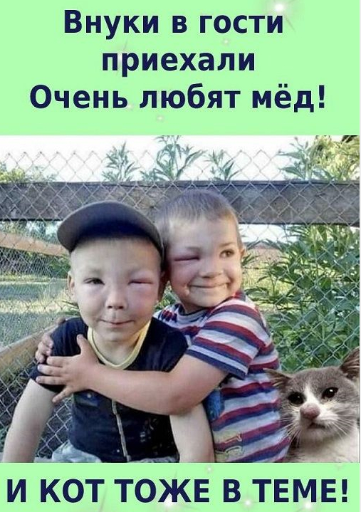 Когда деда не послушали... | Пикабу