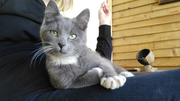 �����������, �������, �������������