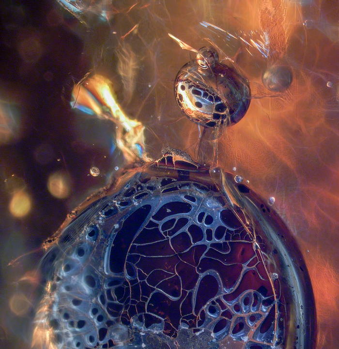 �������� �� ��������