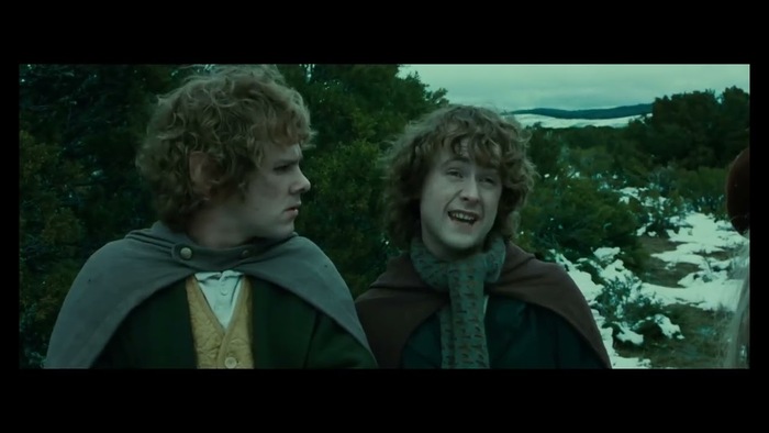 Мобилизация