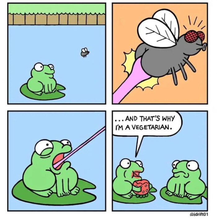 Вот поэтому я вегетарианец