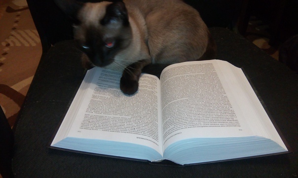 ��� ��� � ��� ��������� ���������: �����!