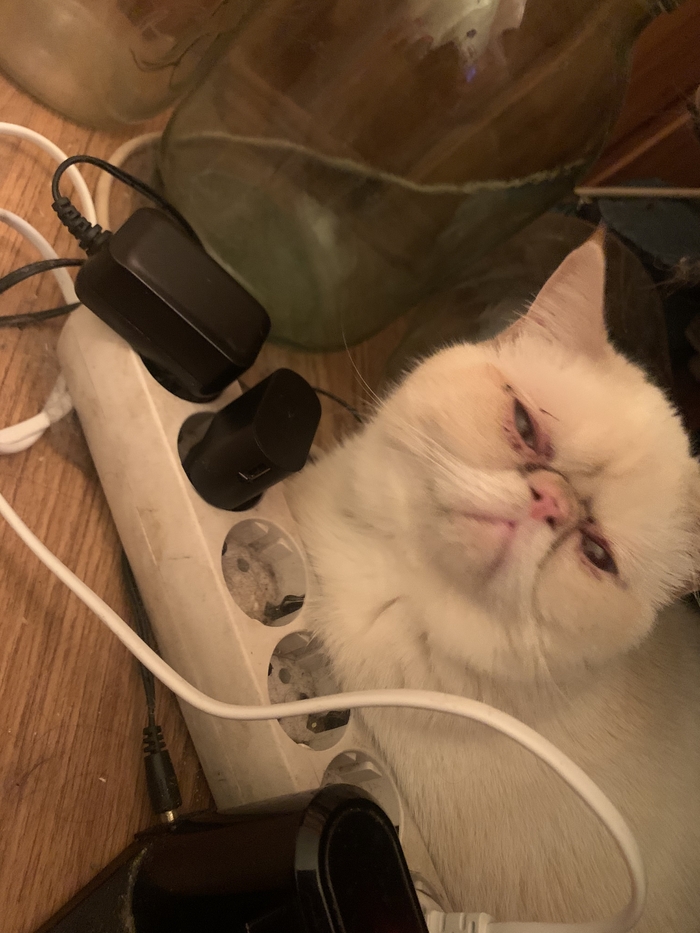 МордаЭнергоСбыт