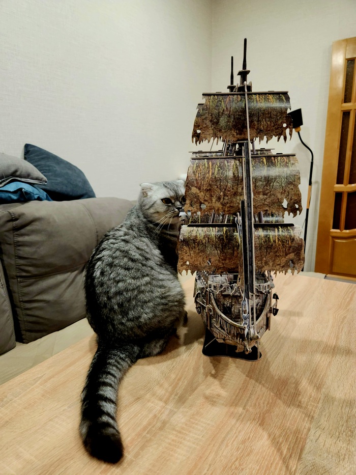 Сборка модели "Корабль Призрак" | Пикабу