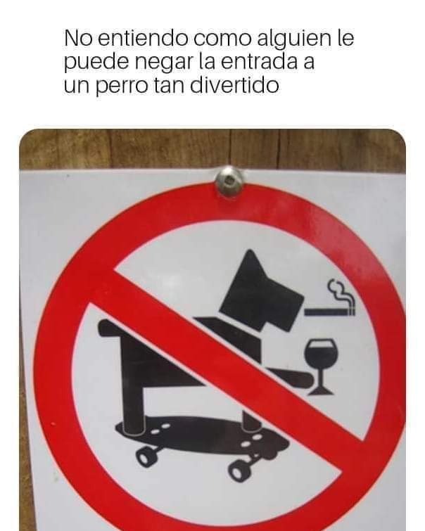 Ну вот как можно запрещать входить такой разносторонней собаке