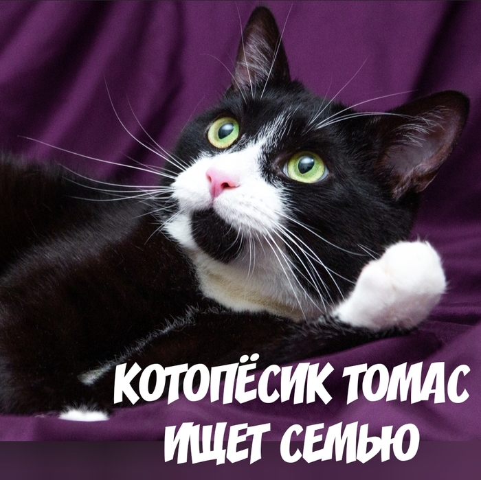 ,      , ,  , , ,  ,   , , ,   