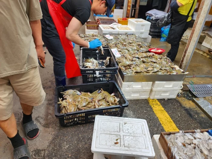 Рынок в Южной Корее Южная Корея, Рынок, Продукты, Цены, Гастрономия, Корейцы, Китайцы, Длиннопост Рынок в Южной Корее Южная Корея, Рынок, Продукты, Цены, Гастрономия, Корейцы, Китайцы, Длиннопост