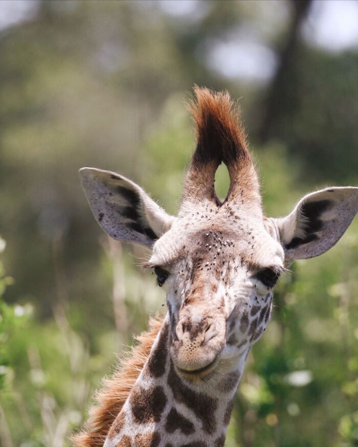 ��������� �����