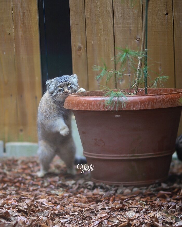 ����� ��� ������� ����, ��� ������ �������?