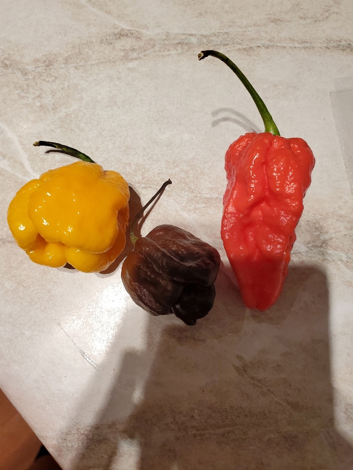 Первый урожай