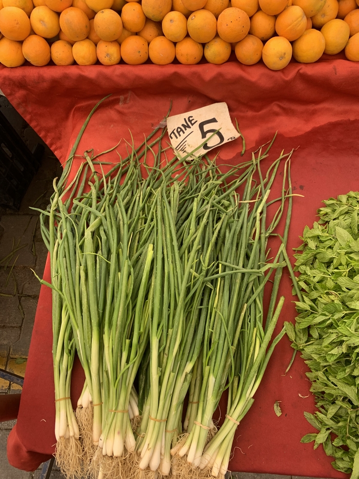 Немного турецкого рынка | Пикабу