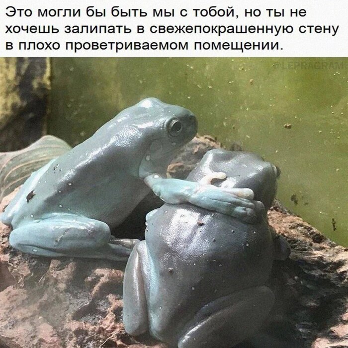 �������� ����������������, ��� ������