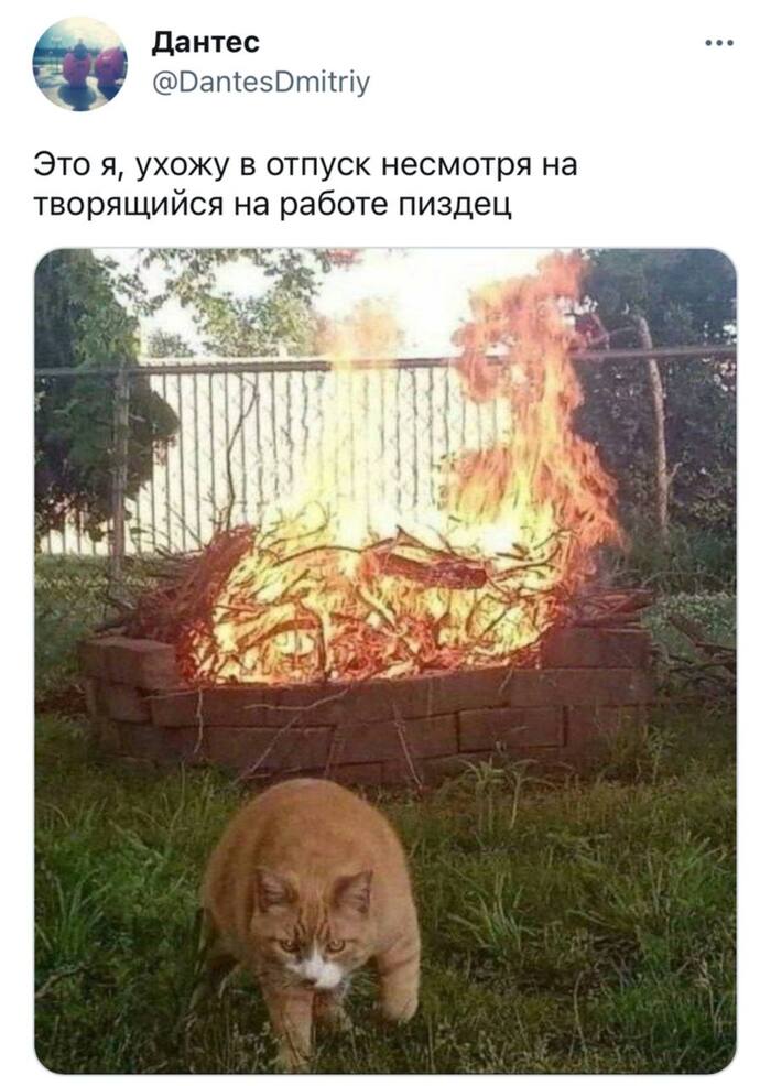 ��� � �����