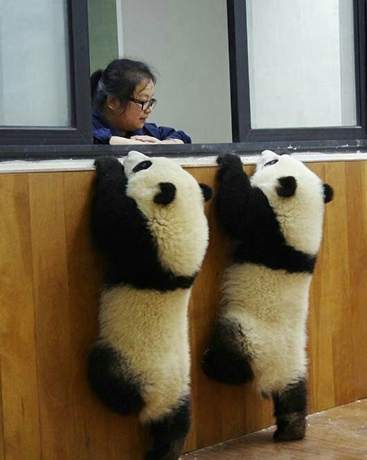 ����� ���!