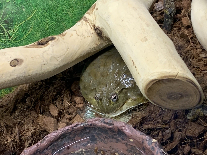 Смотри кого встретил в среду, чуваки!