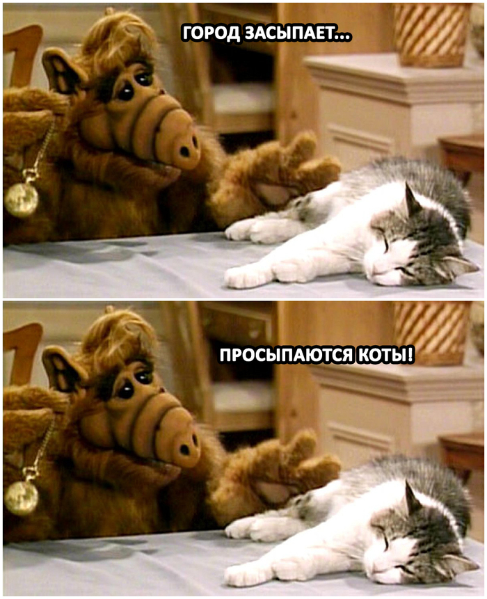 ����� ��������