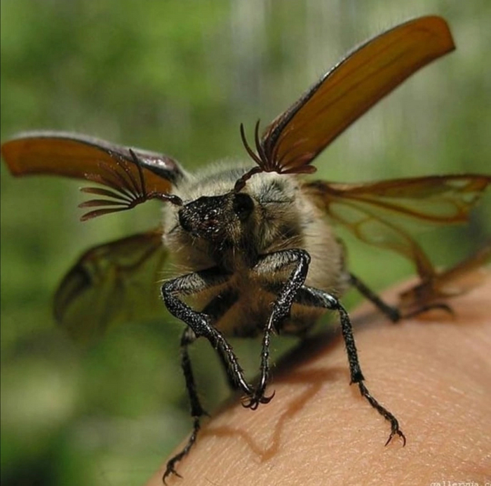 �������