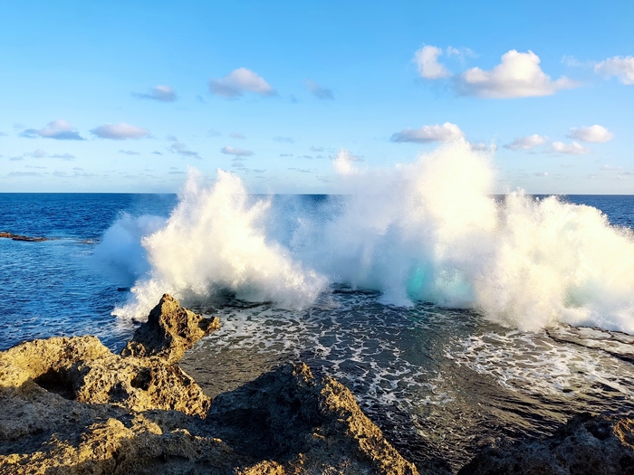   ,  ,   &quot;   &quot;,  , 