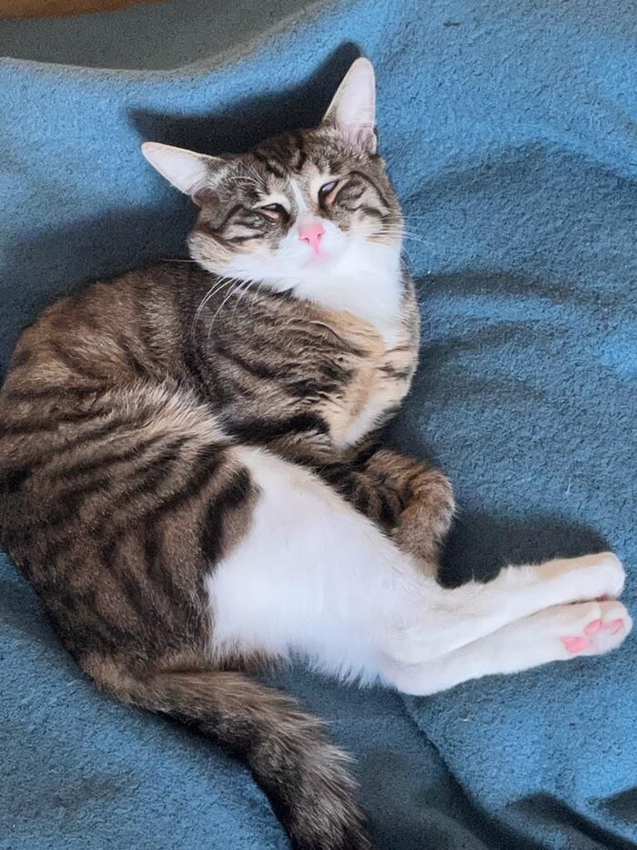 ���� ����������� ����� �� ������ 10 ����� ��� ����, �� �� ��������� � ������ �����