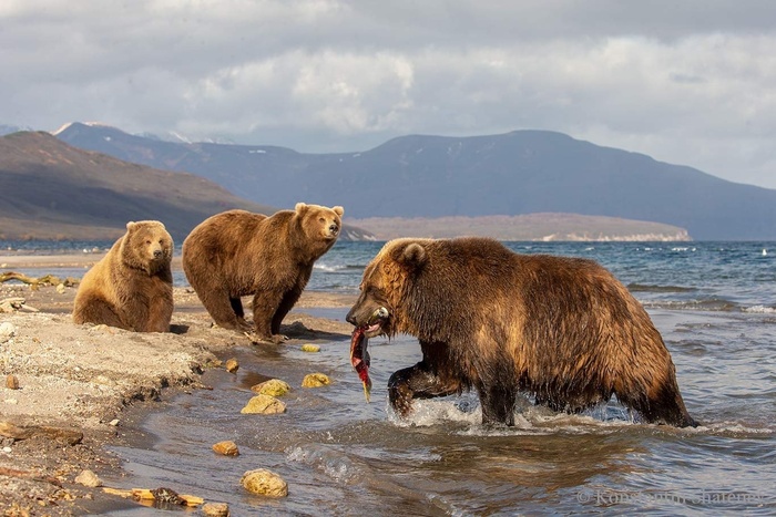 Кому-то везёт больше