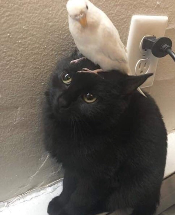 ��� � ���� ������?