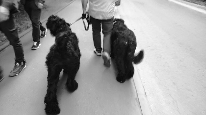 ������, ��������� �� ������ �����