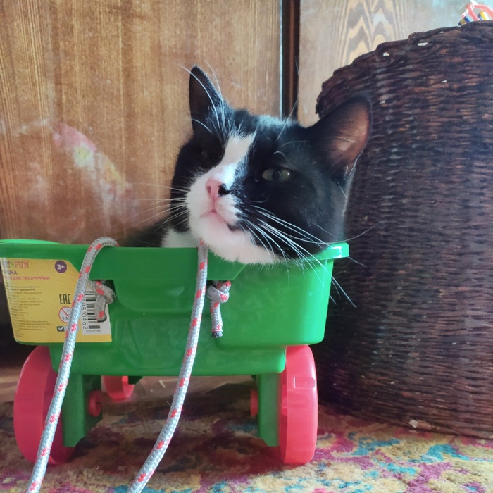 Обаятельный злодей | Пикабу