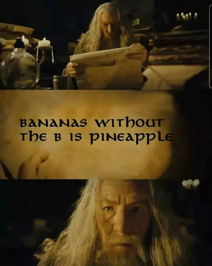 168444129625557596.webp