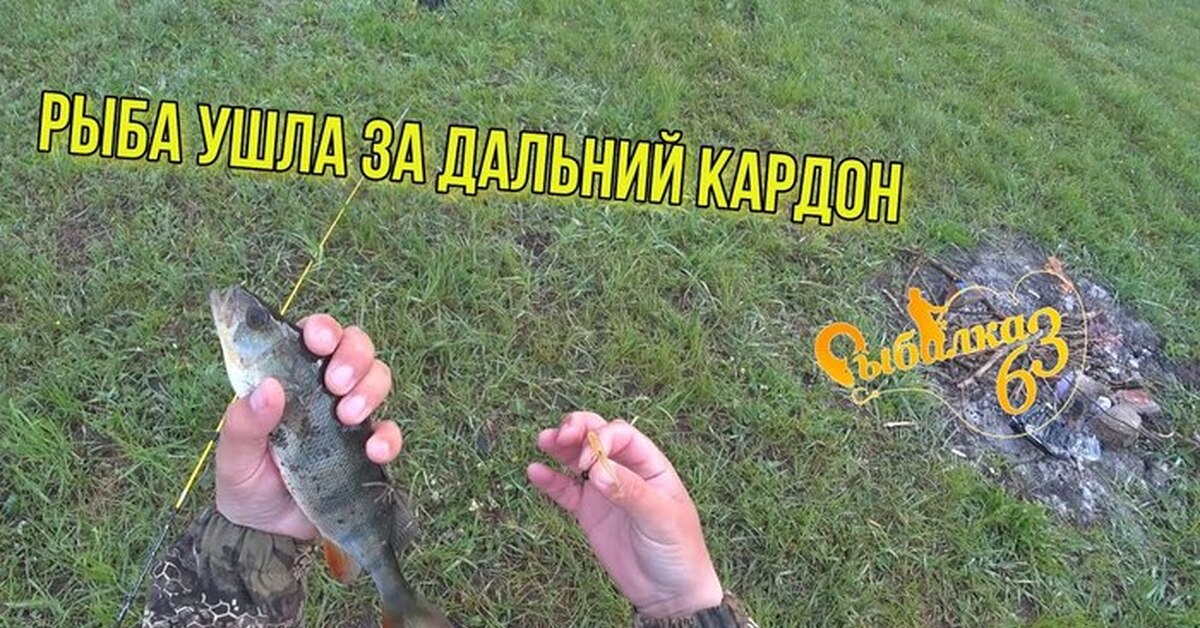 Запрет на рыбалку в крыму 2024. Рыбалка на спиннинг. Рыбалка на реке. Рыбалка запрещена. Рыбалка на карася.